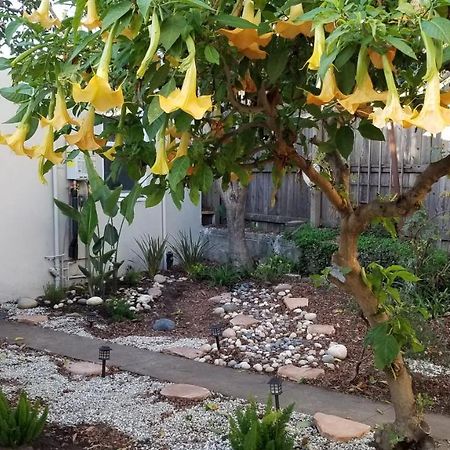 Remodeled Cottage In Berkeley/Oakland Rockridge المظهر الخارجي الصورة
